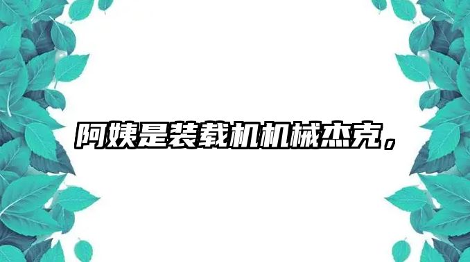 阿姨是裝載機機械杰克，