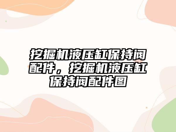 挖掘機液壓缸保持閥配件，挖掘機液壓缸保持閥配件圖