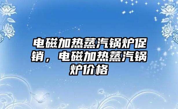 電磁加熱蒸汽鍋爐促銷，電磁加熱蒸汽鍋爐價格