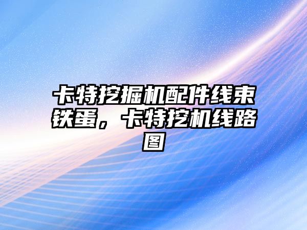 卡特挖掘機配件線束鐵蛋，卡特挖機線路圖