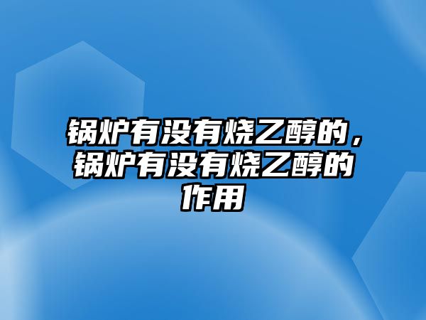 鍋爐有沒有燒乙醇的，鍋爐有沒有燒乙醇的作用