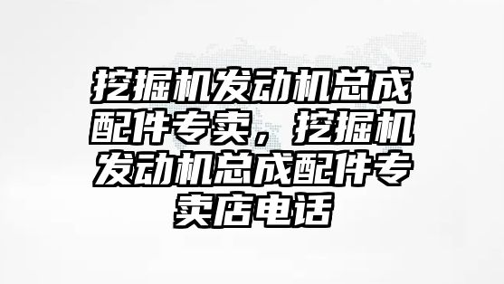 挖掘機發(fā)動機總成配件專賣，挖掘機發(fā)動機總成配件專賣店電話