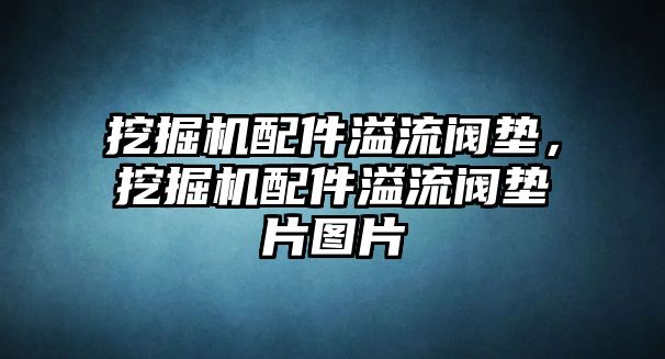 挖掘機配件溢流閥墊，挖掘機配件溢流閥墊片圖片