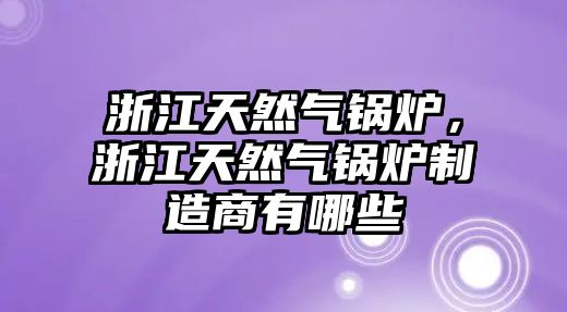 浙江天然氣鍋爐，浙江天然氣鍋爐制造商有哪些