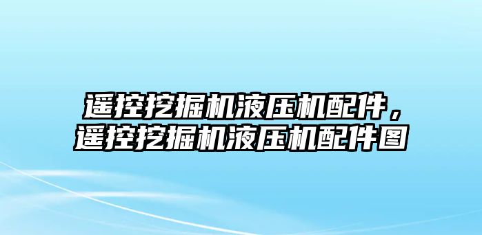 遙控挖掘機(jī)液壓機(jī)配件，遙控挖掘機(jī)液壓機(jī)配件圖