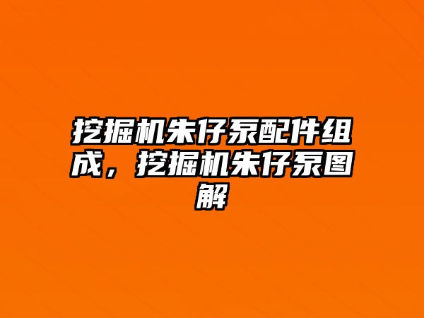 挖掘機朱仔泵配件組成，挖掘機朱仔泵圖解