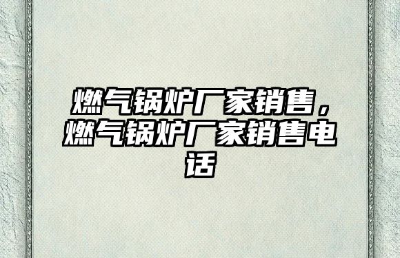 燃?xì)忮仩t廠家銷售，燃?xì)忮仩t廠家銷售電話