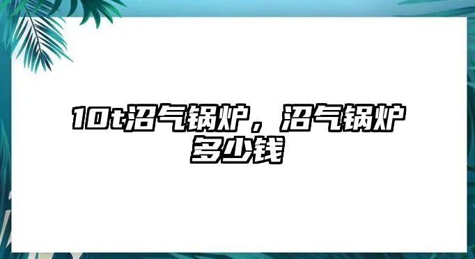 10t沼氣鍋爐，沼氣鍋爐多少錢