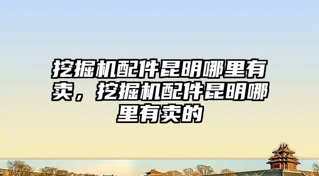 挖掘機配件昆明哪里有賣，挖掘機配件昆明哪里有賣的