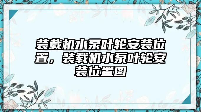 裝載機水泵葉輪安裝位置，裝載機水泵葉輪安裝位置圖