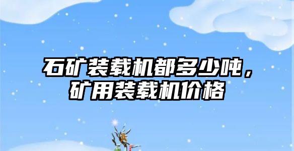 石礦裝載機都多少噸，礦用裝載機價格