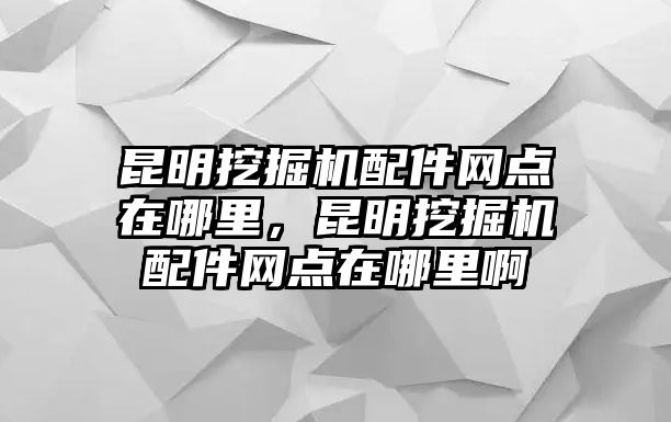 昆明挖掘機(jī)配件網(wǎng)點在哪里，昆明挖掘機(jī)配件網(wǎng)點在哪里啊