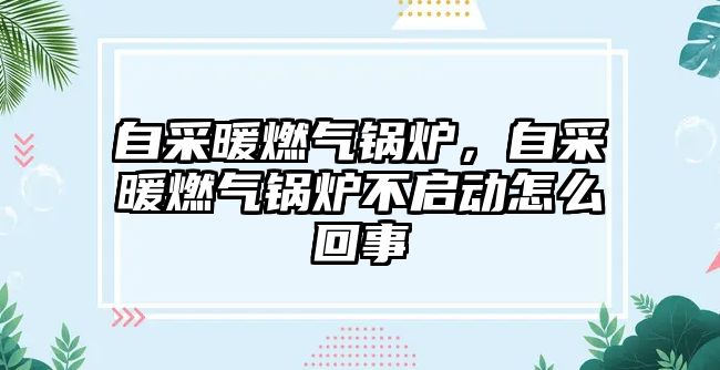 自采暖燃?xì)忮仩t，自采暖燃?xì)忮仩t不啟動怎么回事