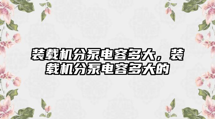 裝載機分泵電容多大，裝載機分泵電容多大的