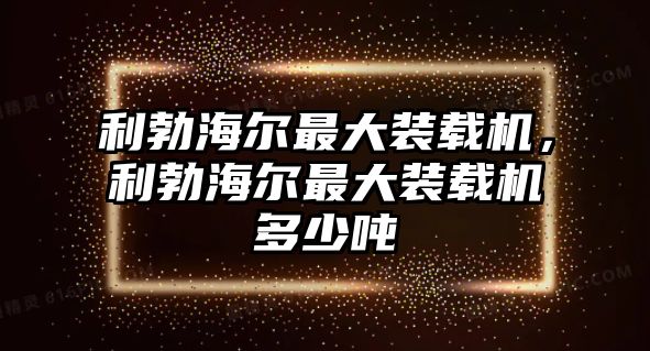 利勃海爾最大裝載機(jī)，利勃海爾最大裝載機(jī)多少噸