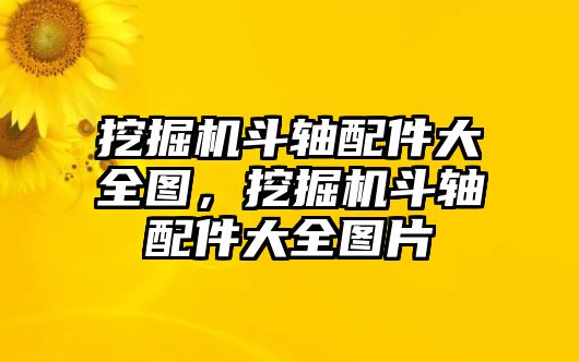 挖掘機(jī)斗軸配件大全圖，挖掘機(jī)斗軸配件大全圖片