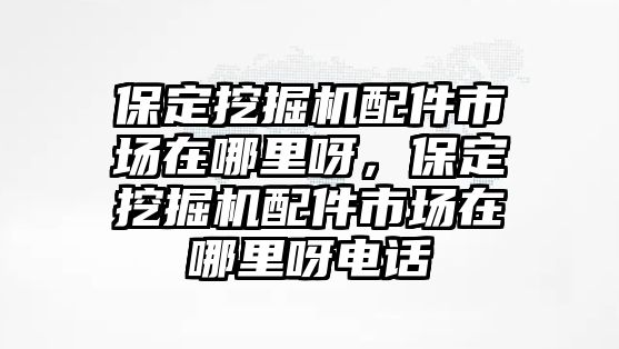 保定挖掘機(jī)配件市場(chǎng)在哪里呀，保定挖掘機(jī)配件市場(chǎng)在哪里呀電話(huà)