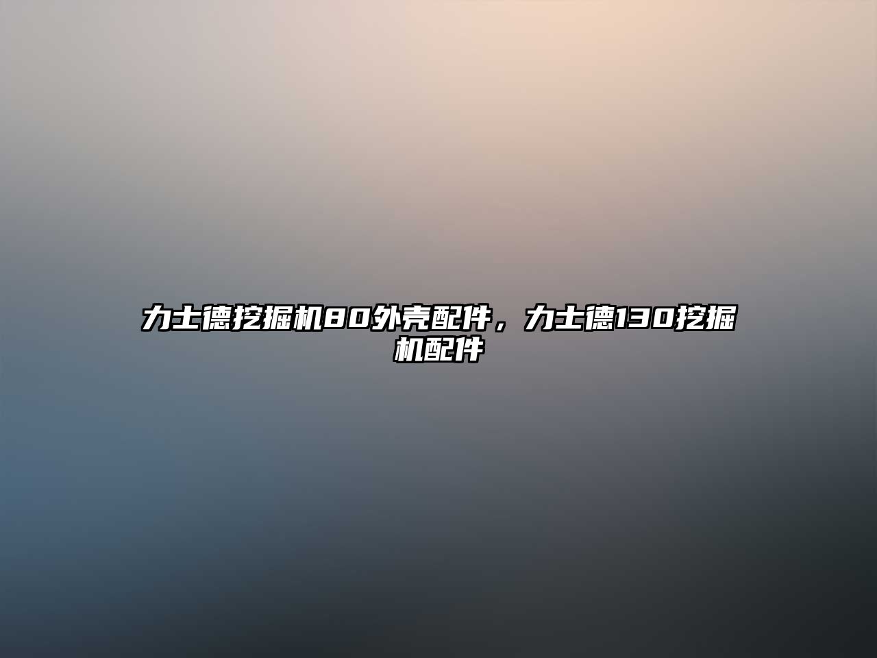 力士德挖掘機(jī)80外殼配件，力士德130挖掘機(jī)配件