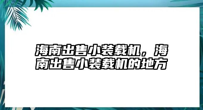 海南出售小裝載機(jī)，海南出售小裝載機(jī)的地方