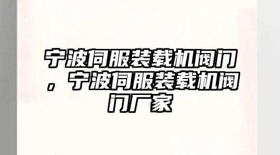 寧波伺服裝載機閥門，寧波伺服裝載機閥門廠家