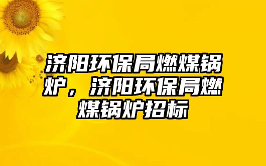 濟(jì)陽環(huán)保局燃煤鍋爐，濟(jì)陽環(huán)保局燃煤鍋爐招標(biāo)