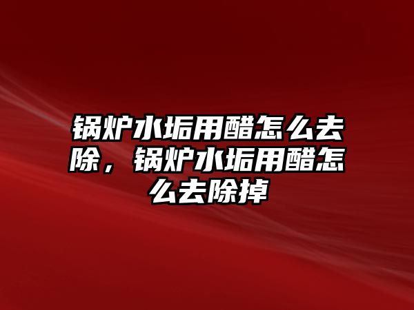 鍋爐水垢用醋怎么去除，鍋爐水垢用醋怎么去除掉