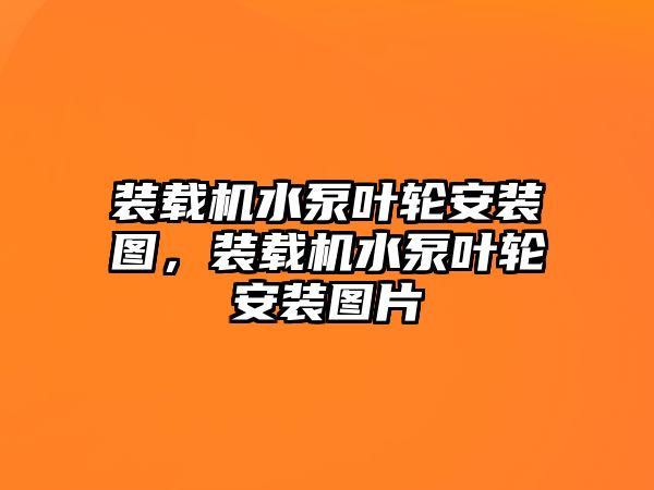 裝載機水泵葉輪安裝圖，裝載機水泵葉輪安裝圖片