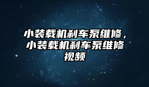 小裝載機剎車泵維修，小裝載機剎車泵維修視頻