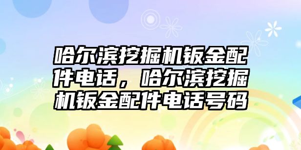 哈爾濱挖掘機(jī)鈑金配件電話，哈爾濱挖掘機(jī)鈑金配件電話號(hào)碼