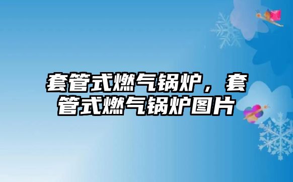 套管式燃?xì)忮仩t，套管式燃?xì)忮仩t圖片