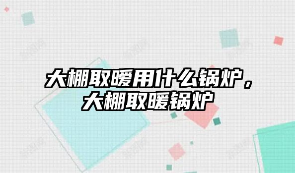 大棚取曖用什么鍋爐，大棚取暖鍋爐