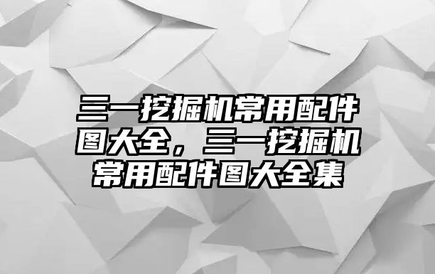 三一挖掘機常用配件圖大全，三一挖掘機常用配件圖大全集