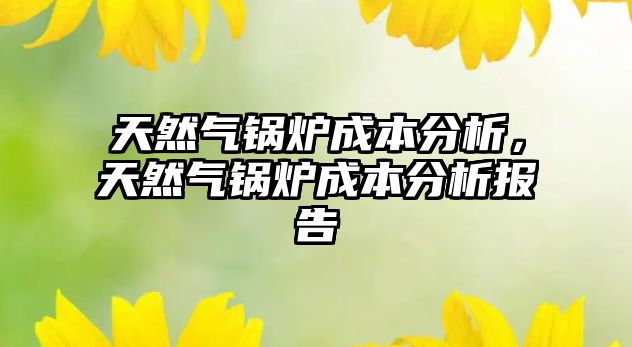 天然氣鍋爐成本分析，天然氣鍋爐成本分析報告