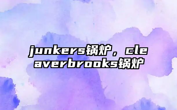 junkers鍋爐，cleaverbrooks鍋爐