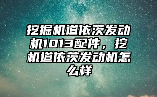 挖掘機道依茨發(fā)動機1013配件，挖機道依茨發(fā)動機怎么樣