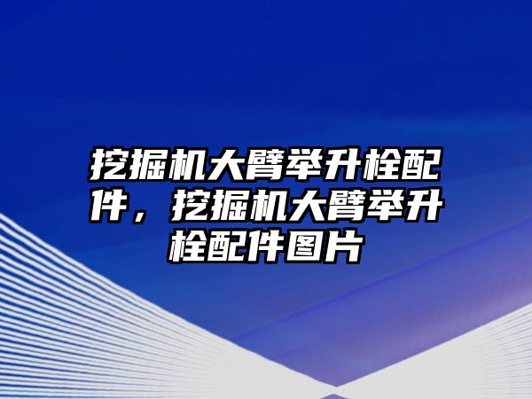 挖掘機大臂舉升栓配件，挖掘機大臂舉升栓配件圖片