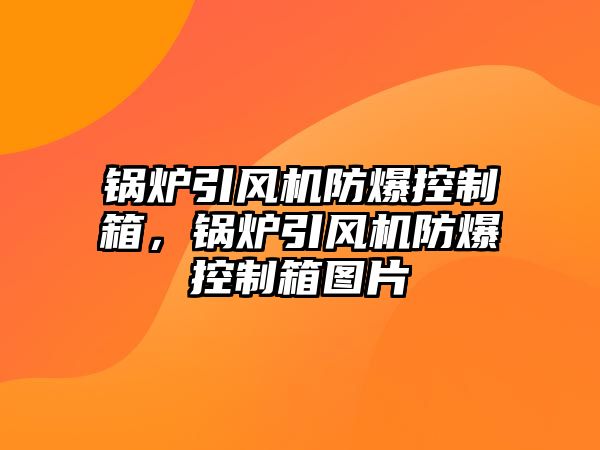 鍋爐引風(fēng)機(jī)防爆控制箱，鍋爐引風(fēng)機(jī)防爆控制箱圖片