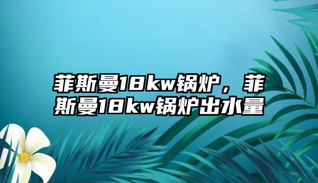 菲斯曼18kw鍋爐，菲斯曼18kw鍋爐出水量