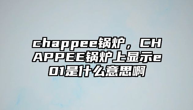 chappee鍋爐，CHAPPEE鍋爐上顯示e01是什么意思啊