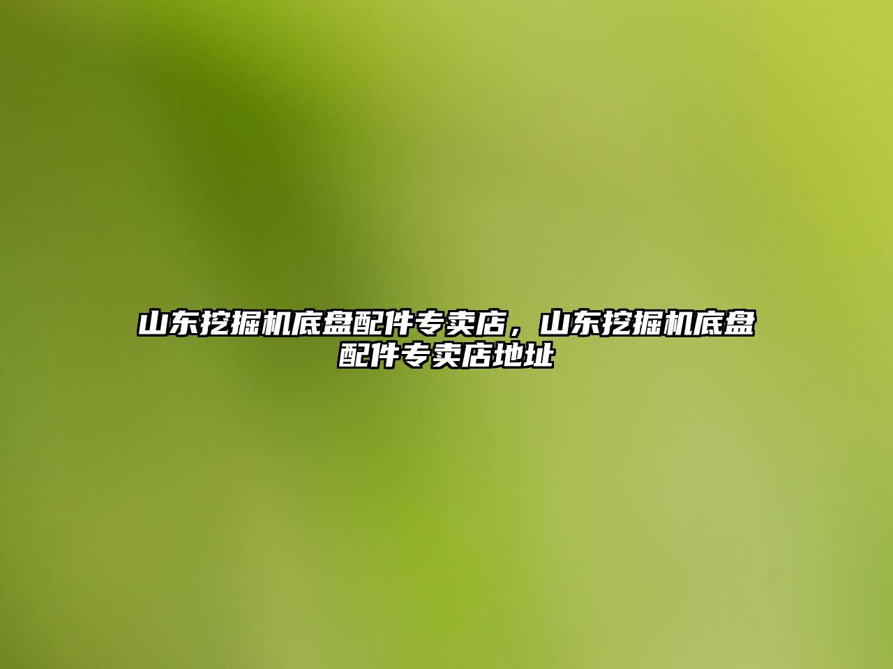 山東挖掘機底盤配件專賣店，山東挖掘機底盤配件專賣店地址