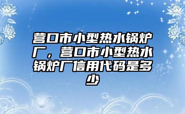 營口市小型熱水鍋爐廠，營口市小型熱水鍋爐廠信用代碼是多少