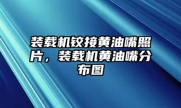 裝載機鉸接黃油嘴照片，裝載機黃油嘴分布圖