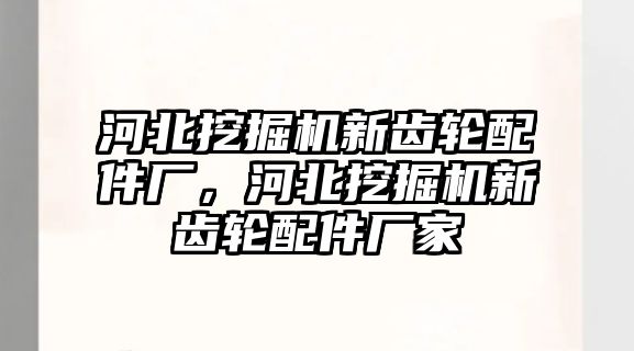 河北挖掘機新齒輪配件廠，河北挖掘機新齒輪配件廠家