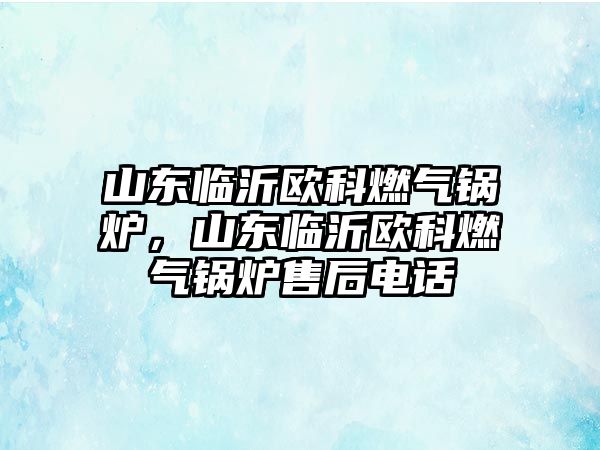 山東臨沂歐科燃氣鍋爐，山東臨沂歐科燃氣鍋爐售后電話