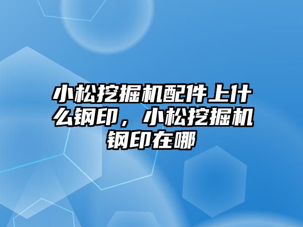 小松挖掘機配件上什么鋼印，小松挖掘機鋼印在哪