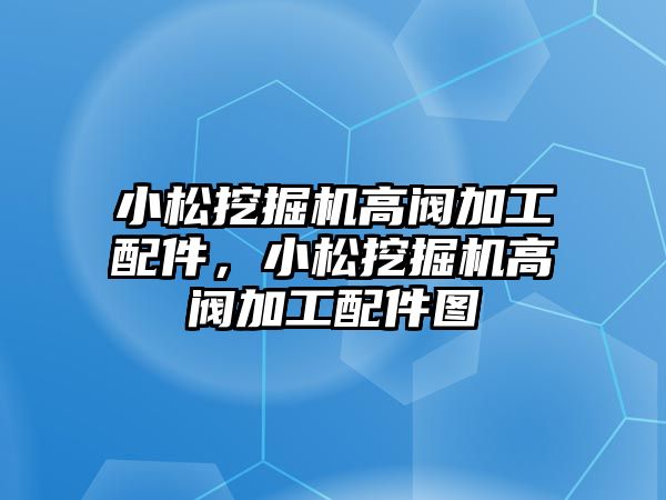 小松挖掘機(jī)高閥加工配件，小松挖掘機(jī)高閥加工配件圖