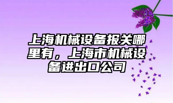 上海機械設備報關哪里有，上海市機械設備進出口公司