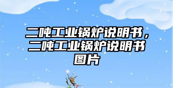 二噸工業(yè)鍋爐說(shuō)明書，二噸工業(yè)鍋爐說(shuō)明書圖片