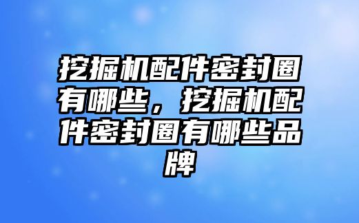 挖掘機配件密封圈有哪些，挖掘機配件密封圈有哪些品牌