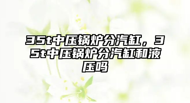 35t中壓鍋爐分汽缸，35t中壓鍋爐分汽缸和液壓嗎